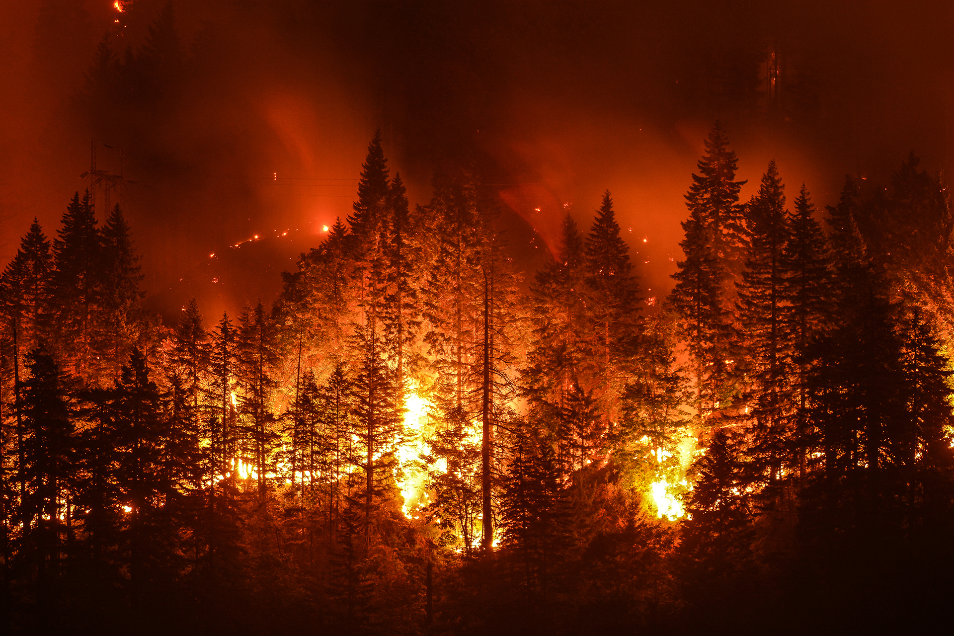 L’Italia brucia e i cambiamenti climatici aggravano la stagione degli incendi L’Italia brucia e i cambiamenti climatici aggravano la stagione degli incendi