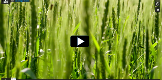 Trailer docuserie "Today for tomorrow" Trailer docuserie "Today for tomorrow"