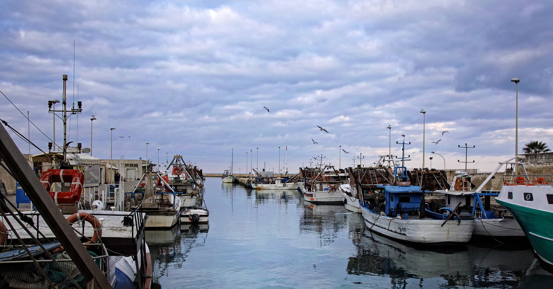 Gestione sostenibile della pesca: passi avanti