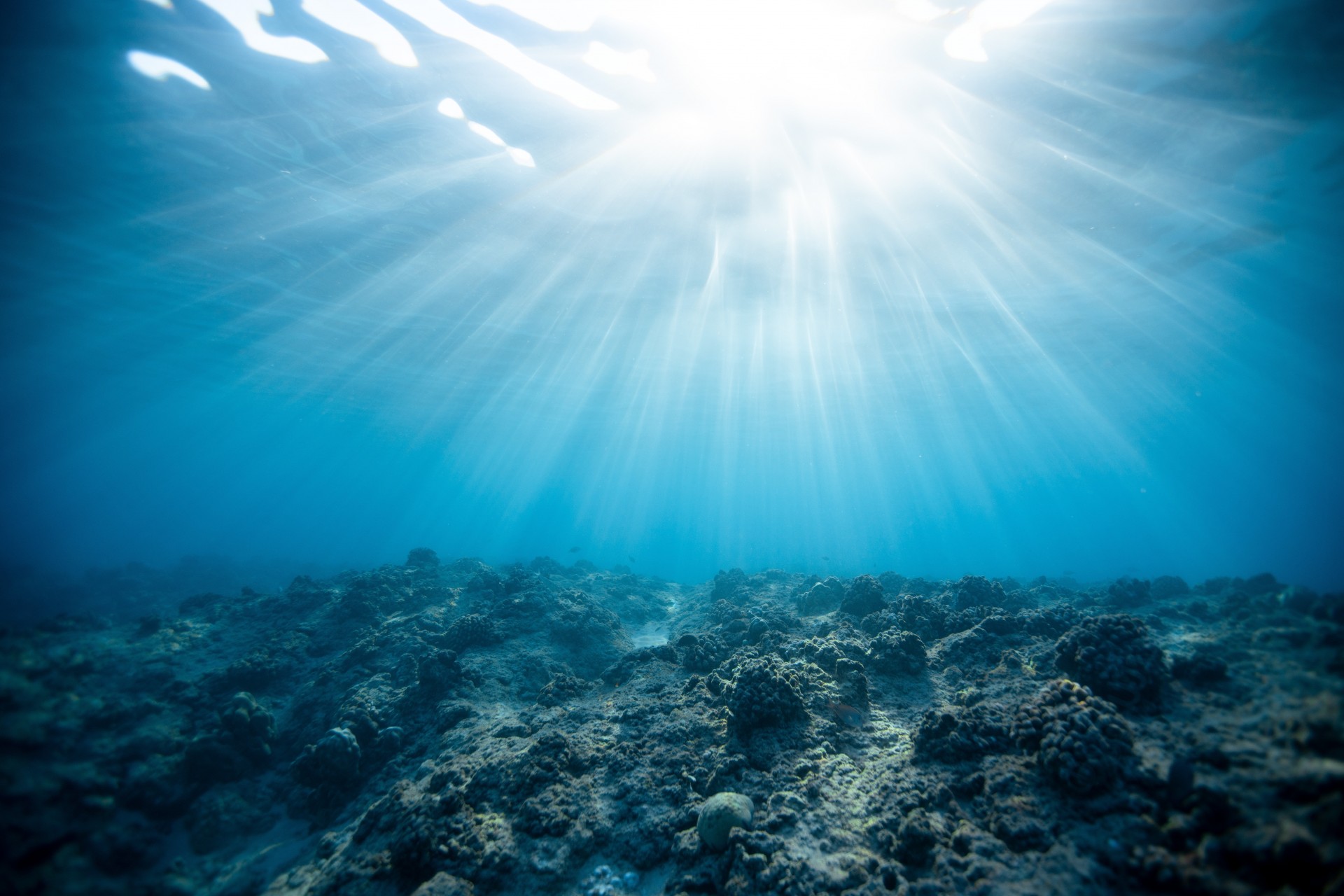 Oceani: per salvare gli ecosistemi necessario fermare l’estrazione mineraria Oceani: per salvare gli ecosistemi necessario fermare l’estrazione mineraria
