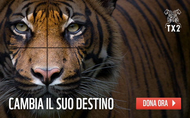 L'allarme Wwf: entro il 2020 le specie animali e vegetali possono crollare del 67% L'allarme Wwf: entro il 2020 le specie animali e vegetali possono crollare del 67%