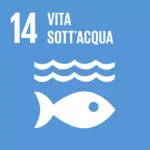 Icons_14